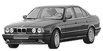 BMW E34 C251C Fault Code