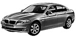 BMW F10 C251C Fault Code
